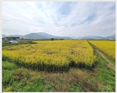  2024Ÿ��113444  ����