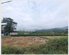  2024Ÿ��113635  ����