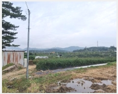  2024Ÿ��113635  ����