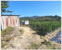  2024Ÿ��113635  ����