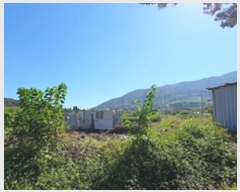  2024Ÿ��113635  ����