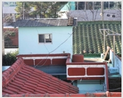  2024Ÿ��115341  ���ð��