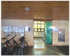  2024Ÿ��115877  ����Ʈ���