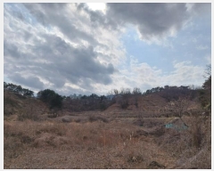  2024Ÿ��807 �泲 â���� ��â�� �ϸ� ��� 523     ����(��)���