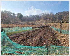  2024Ÿ��807 �泲 â���� ��â�� �ϸ� ��� 523     ����(��)���