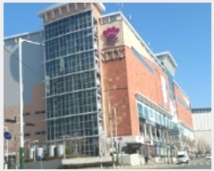  2024Ÿ1626 泲 ؽ ߾ӷ 137, 1114ȣ (,޾ض)     ,繫ǰ