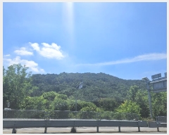  2024Ÿ4007 泲 â â ϸ 긮 189     (Ӿ)