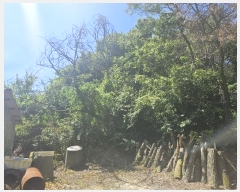  2024Ÿ4007 泲 â â ϸ 긮 189     (Ӿ)