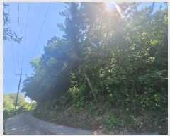  2024Ÿ4007 泲 â â ϸ 긮 189     (Ӿ)