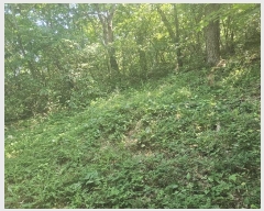  2024Ÿ4007 泲 â â ϸ 긮 189     (Ӿ)