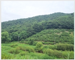  2024Ÿ4007 泲 â â ϸ 긮 189     (Ӿ)