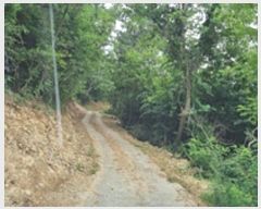  2024Ÿ4007 泲 â â ϸ 긮 189     (Ӿ)