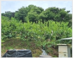  2024Ÿ4007 泲 â â ϸ 긮 189     (Ӿ)