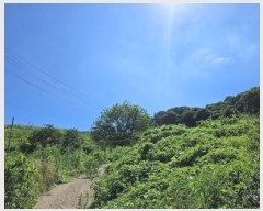  2024Ÿ��5031 �泲 ���ؽ� ������ ������ ��103      ����(�Ӿ�)���