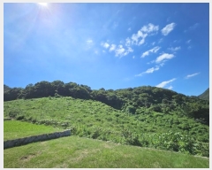  2024Ÿ��5031 �泲 ���ؽ� ������ ������ ��103      ����(�Ӿ�)���