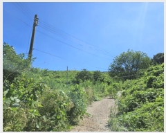  2024Ÿ��5031 �泲 ���ؽ� ������ ������ ��103      ����(�Ӿ�)���