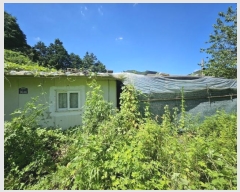  2024Ÿ��5031 �泲 ���ؽ� ������ ������ ��103      ����(�Ӿ�)���