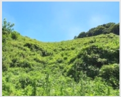  2024Ÿ��5031 �泲 ���ؽ� ������ ������ ��103      ����(�Ӿ�)���