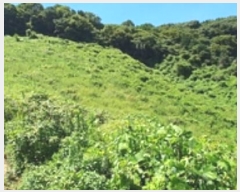  2024Ÿ��5031 �泲 ���ؽ� ������ ������ ��103      ����(�Ӿ�)���