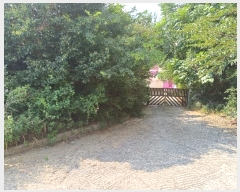  2024Ÿ5307 泲 â ر õ 33      ()