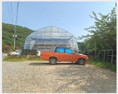  2024Ÿ5307 泲 â ر õ 33      ()