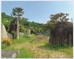  2024Ÿ5307 泲 â ر õ 33      ()