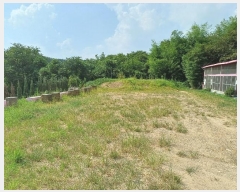  2024Ÿ5307 泲 â ر õ 33      ()