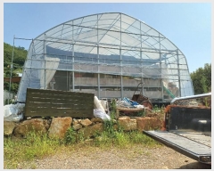  2024Ÿ5307 泲 â ر õ 33      ()