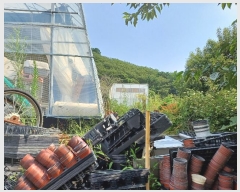  2024Ÿ5307 泲 â ر õ 33      ()