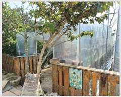  2024Ÿ5307 泲 â ر õ 33      ()