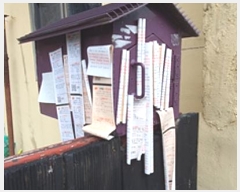  2024Ÿ��6676  ���ð��