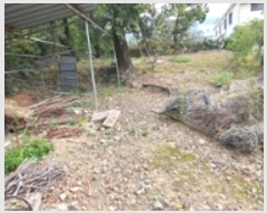  2024Ÿ��7082 �泲 ���ؽ� ���ʸ� ��ȸ� 1382      ���ð��