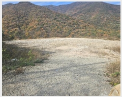  2024Ÿ��7433  �Ӿ߰��