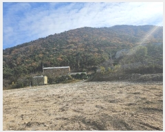  2024Ÿ��7433  �Ӿ߰��