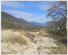  2024Ÿ��7433  �Ӿ߰��