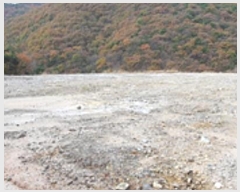  2024Ÿ��7433  �Ӿ߰��