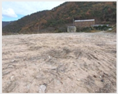  2024Ÿ��7433  �Ӿ߰��