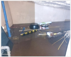  2024Ÿ��7525  ���ڽü����