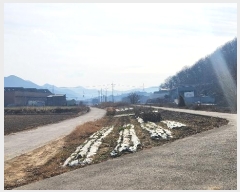  2024Ÿ��7815 �泲 ���ؽ� �Ѹ��� ���ϸ� 1160-1      ������