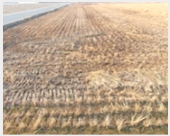  2024Ÿ��8009 �泲 ���ؽ� ȭ�� 190-16       ����(��)���