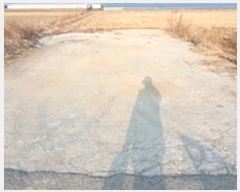  2024Ÿ��8009 �泲 ���ؽ� ȭ�� 190-16       ����(��)���