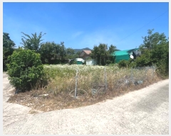  2024Ÿ107258 泲 ؽ 뵿 ̸ 359      ()