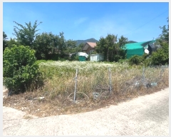  2024Ÿ107258 泲 ؽ 뵿 ̸ 359      ()