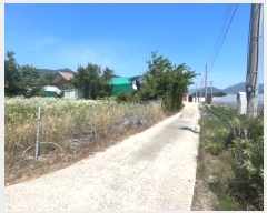  2024Ÿ107258 泲 ؽ 뵿 ̸ 359      ()