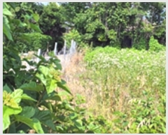  2024Ÿ107258 泲 ؽ 뵿 ̸ 359      ()