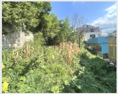  2024Ÿ110193 泲 ؽ ο 83-3       (1)