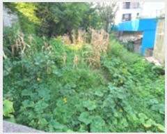  2024Ÿ110193 泲 ؽ ο 83-3       (1)