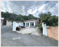  2024Ÿ111370 泲 ؽ 뵿 ߸ 361      ð