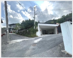  2024Ÿ111370 泲 ؽ 뵿 ߸ 361      ð