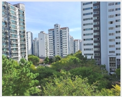  2024Ÿ��112724  ����Ʈ���